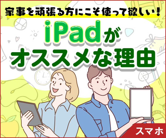 Ǝ撣ɂgė~IiPadIXXȗR