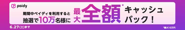 paidy�L���b�V���o�b�N�L�����y�[��