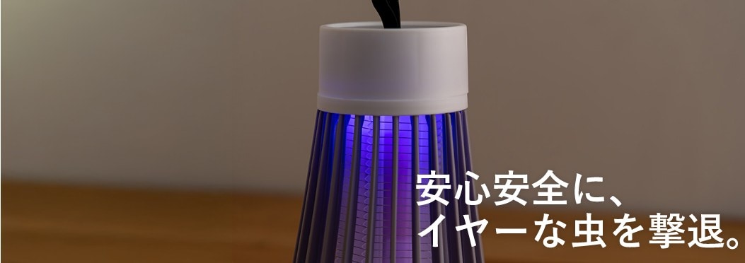 ゲオの夏コレクション