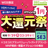 UQoCɏ芷ȂQIIiPhone 1~Ҍ