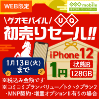 �Q�I���o�C�� UQ������Z�[���I